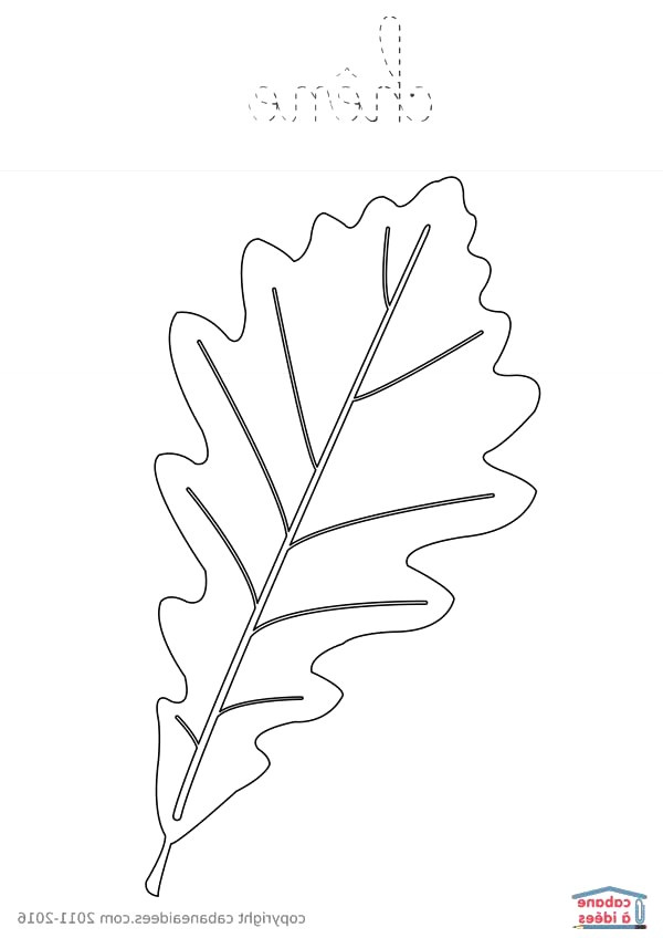 coloriage arbres imprimer avec curieux arbre feuilles af4a3cd p et coloriage feuille d arbre imprimer 65 coloriage curieux arbre sans feuilles coloriage feuille d arbre imprimer
