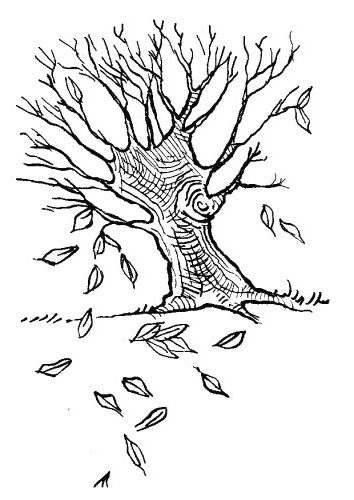 coloriage arbres imprimer avec curieux arbre feuilles af4a3cd p et coloriage feuille d arbre imprimer 65 coloriage curieux arbre sans feuilles coloriage feuille d arbre imprimer