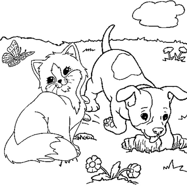 chaton et chiot coloriage