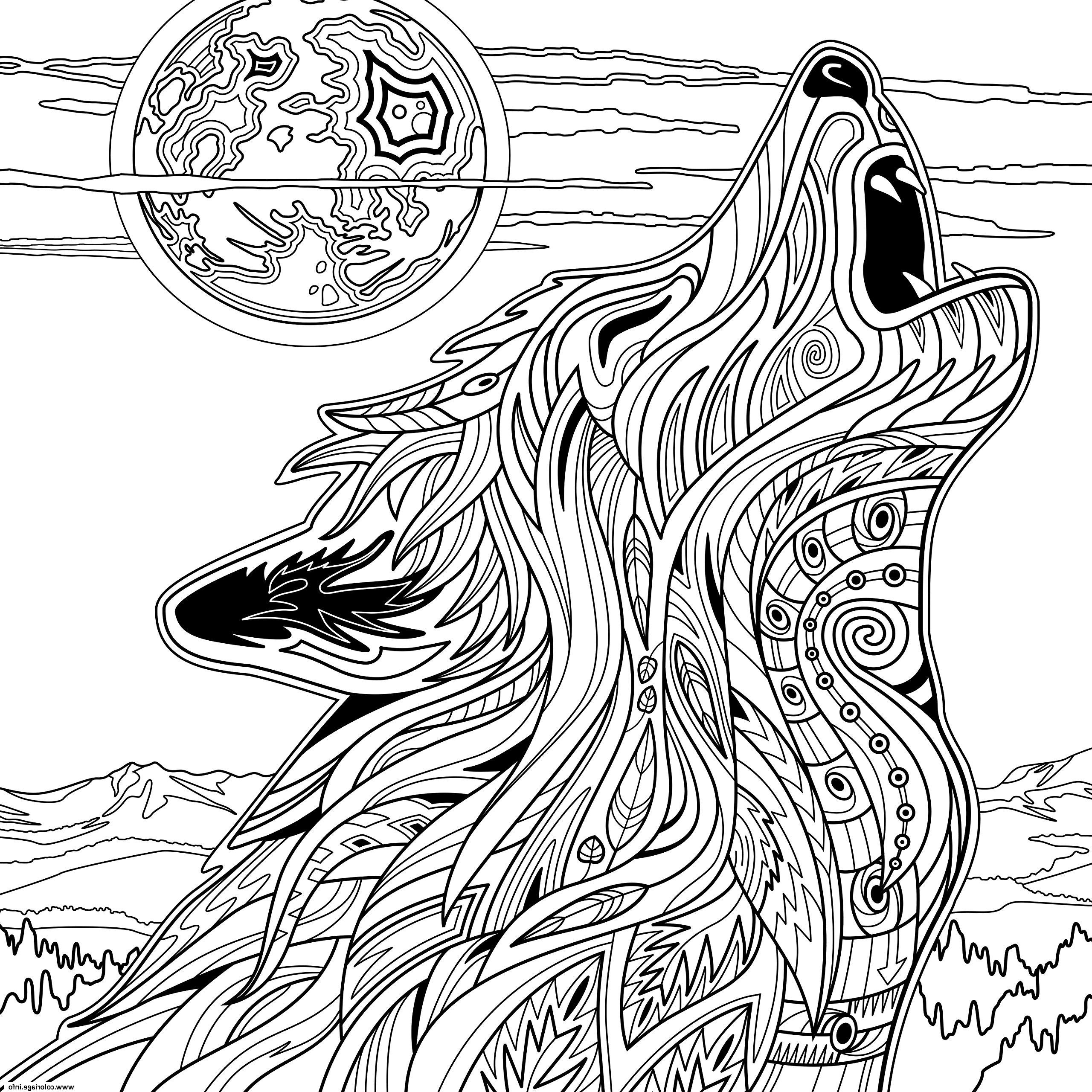 adulte loup animaux yellowstone national park coloriage dessin
