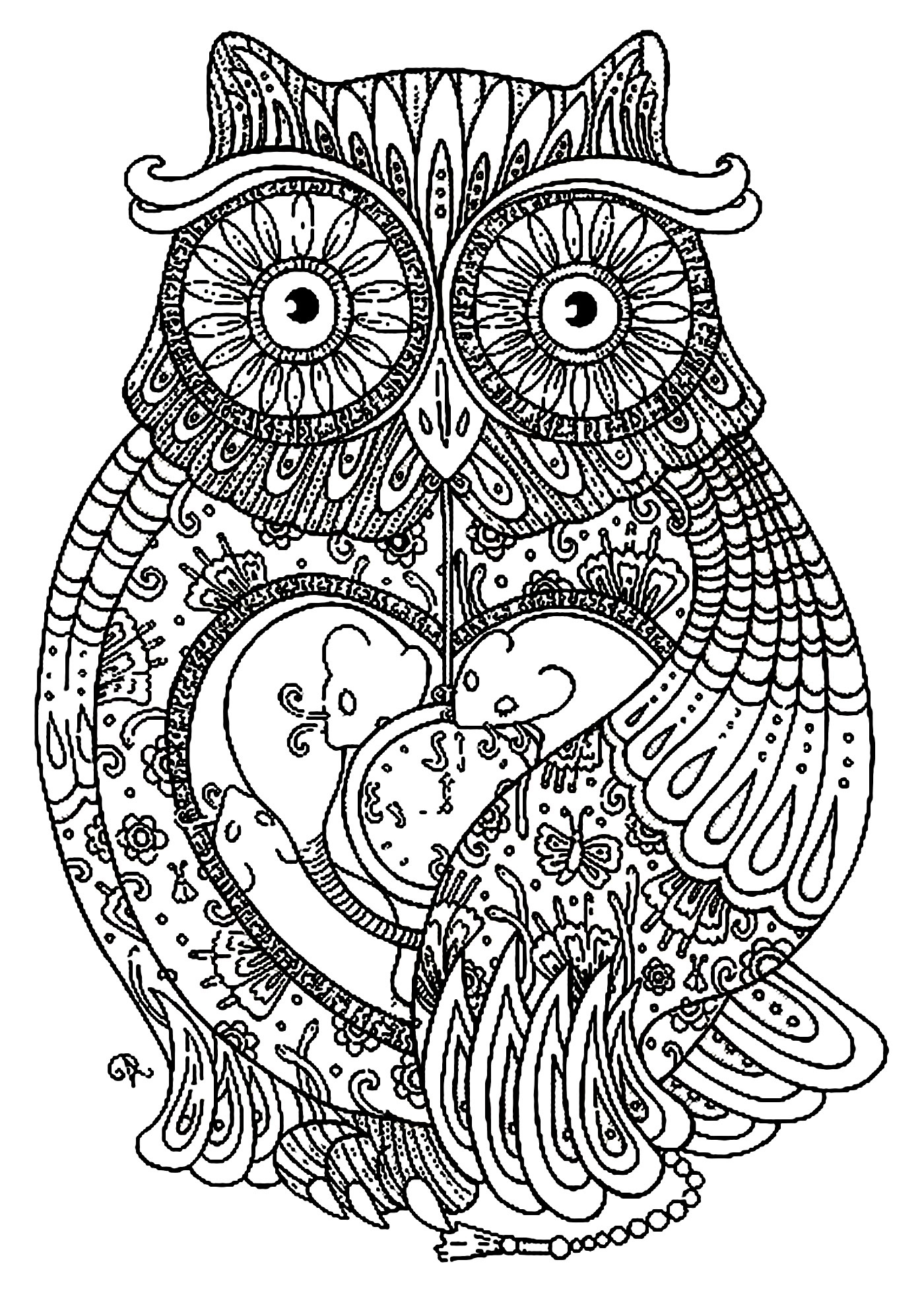 4 image=animaux coloriage adulte animaux gros hibou 1