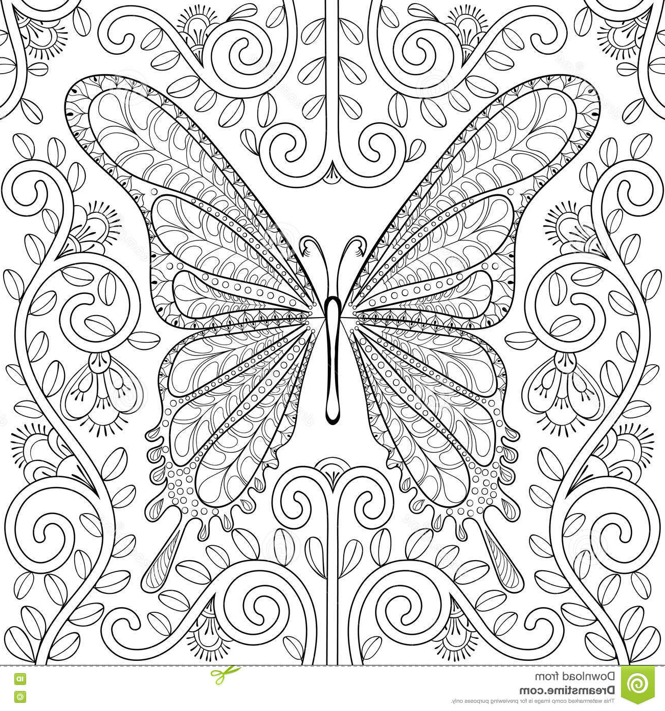 illustration stock livre de coloriage adulte avec le papillon en pages de fleurs zentangle v image