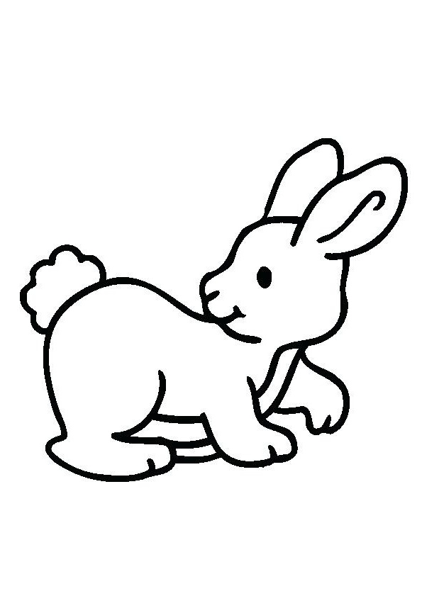 coloriages bebe lapin coloriage in b
