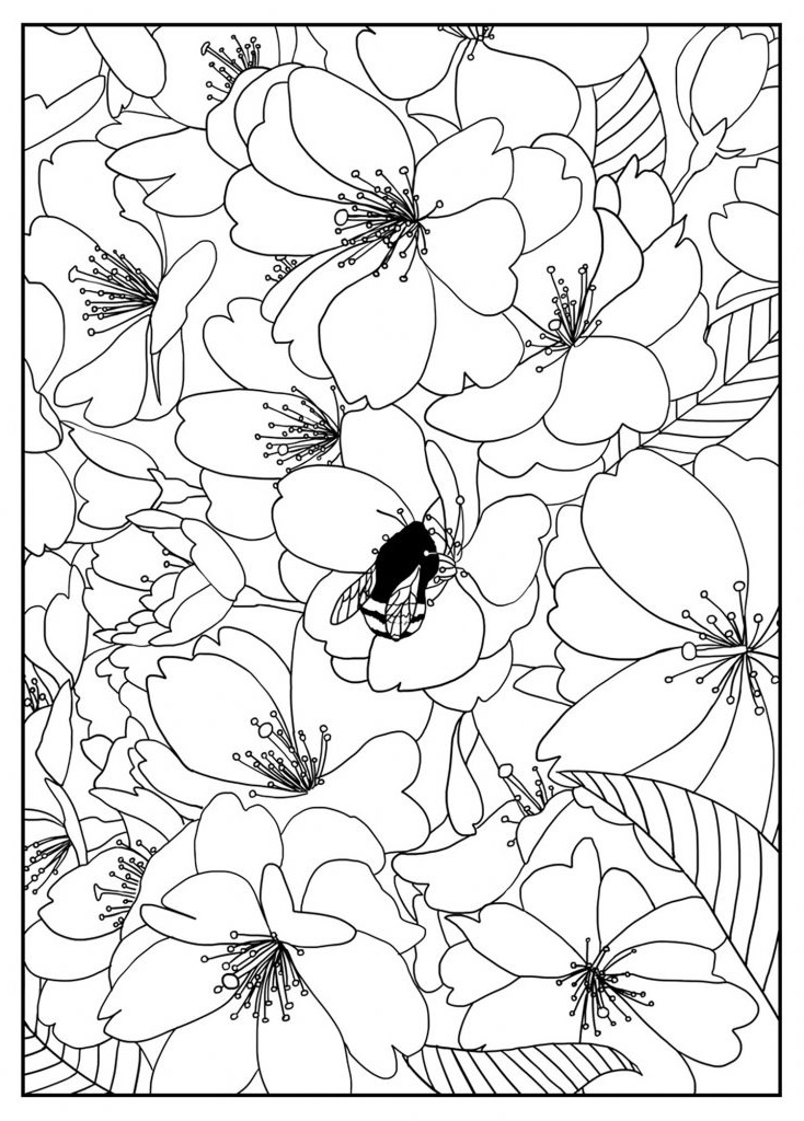 free printable flower coloring pages kids