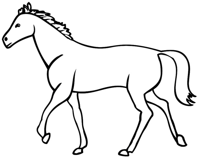 175 cheval6
