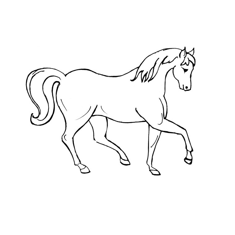 dessin de cheval a imprimer en couleur