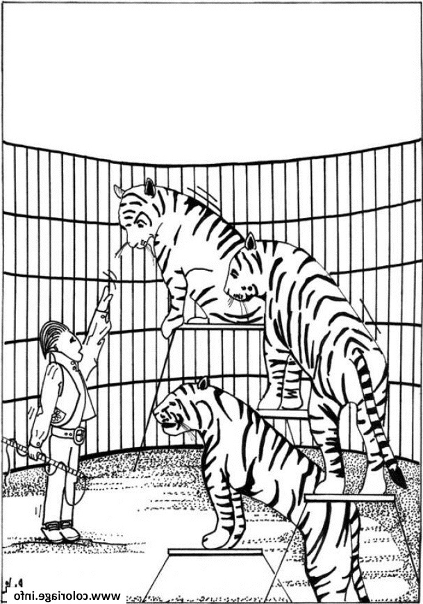 cirque tigres dresseur coloriage
