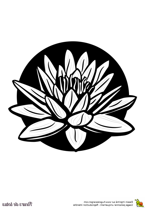 Coloriage Fleur De Lotus Bestof Collection Information About