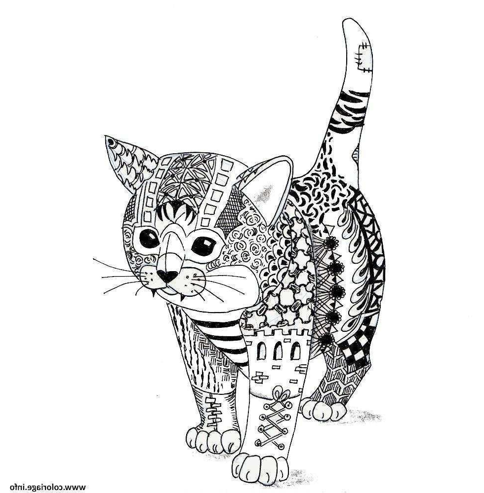 coloriage mandala chat imprimer elegant mandala de chat maison dedans image de chat a imprimer