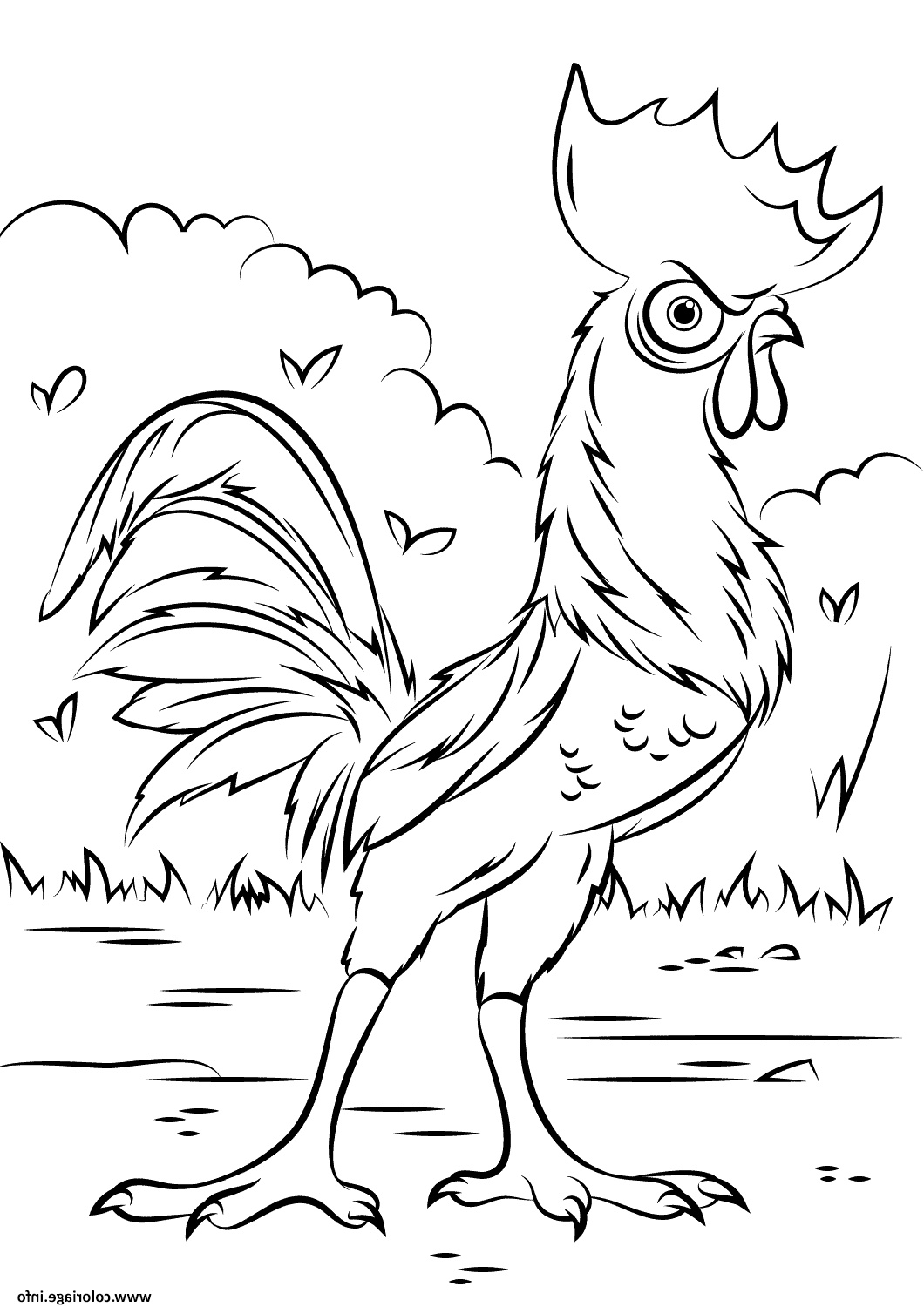 heihei rooster de moana vaiana coloriage dessin