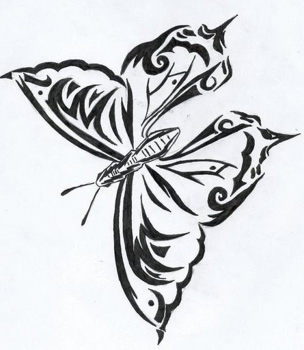 papillon difficile 23