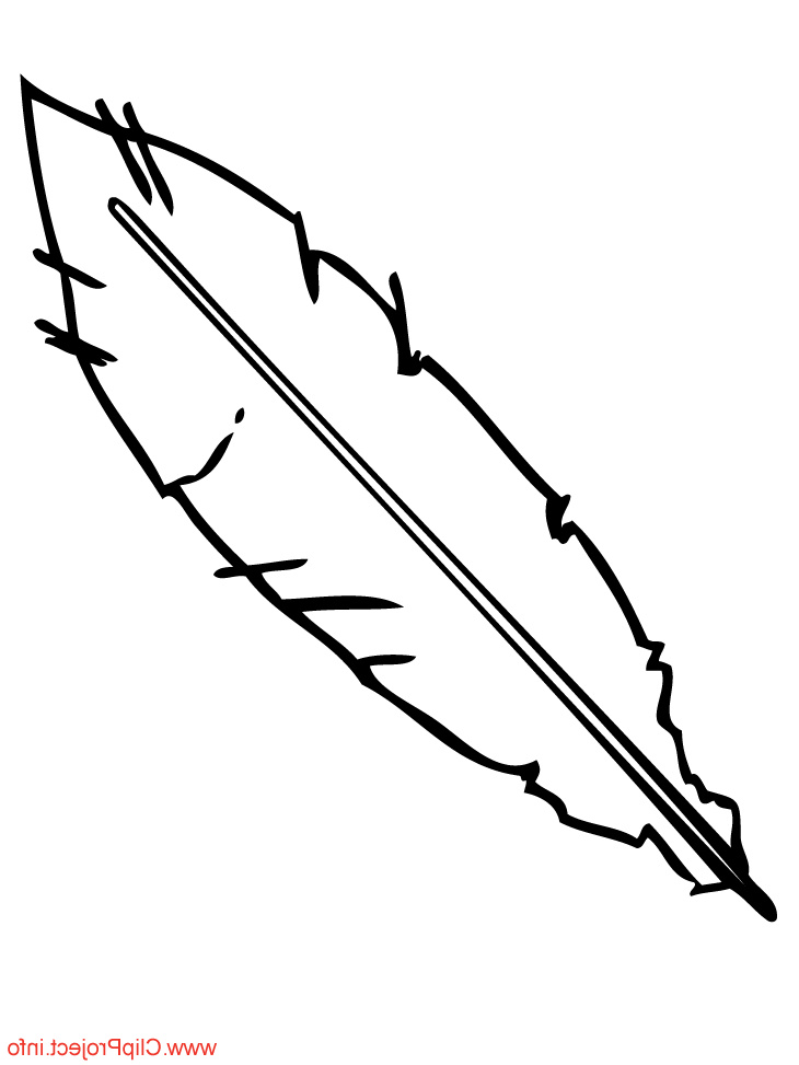 feather image to color free 455
