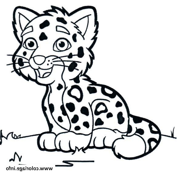 animaux mignon bebe guepard coloriage