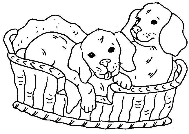 coloriage imprimer de chien