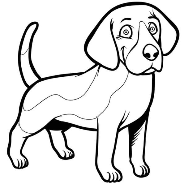 chien beagle coloriage