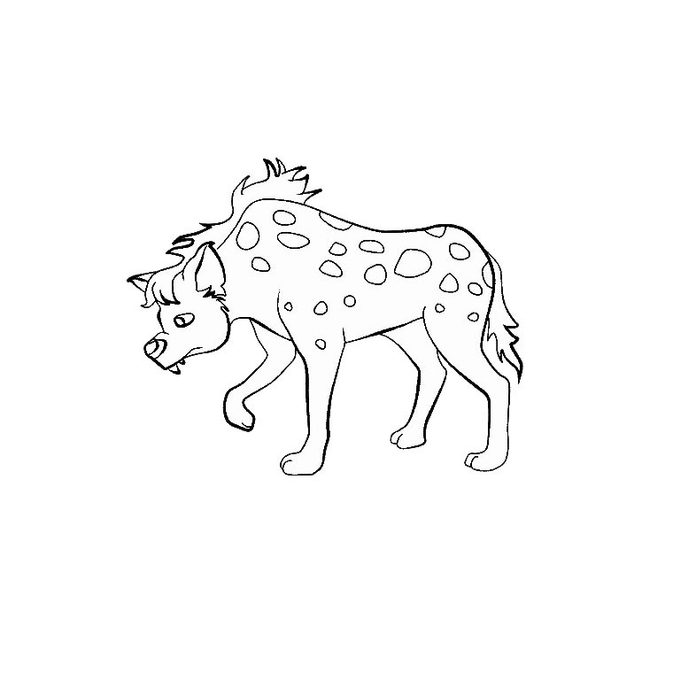 hyene
