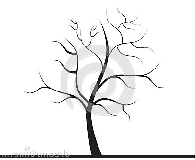 photo stock arbre sans feuilles image