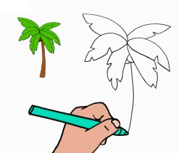 apprendre a dessiner un palmier