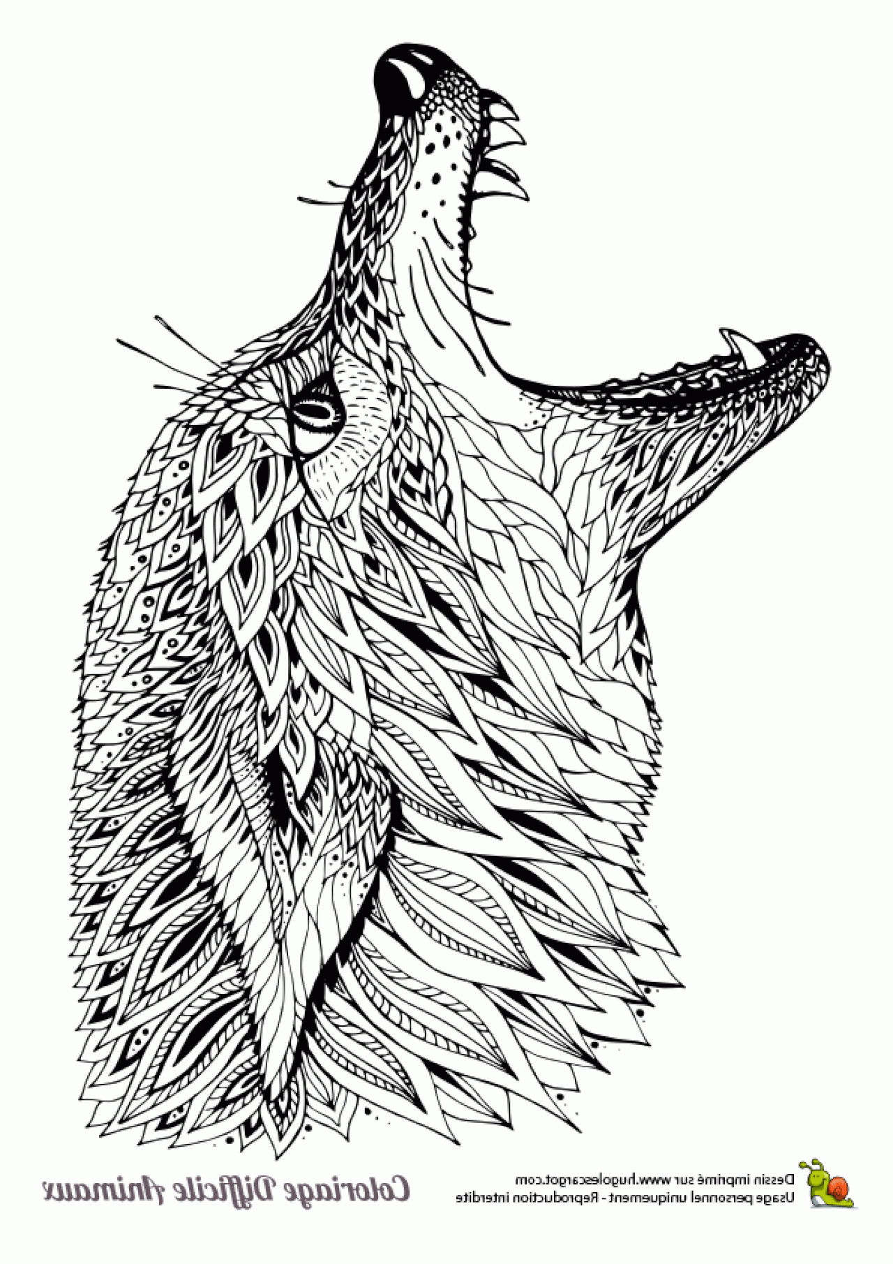dessin danimaux difficile einzigartig dessin a colorier d une taate de loup