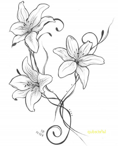 fleur de lys dessin contemporain lilies other tattoo idea foto mie pinterest