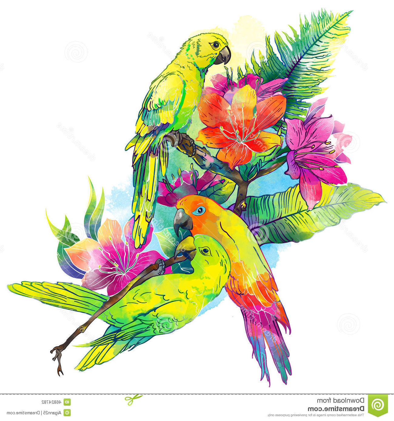 illustration stock perroquets jaunes et fleurs exotiques image