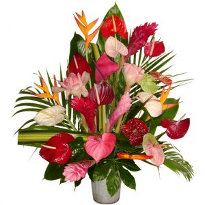 Dessin De Fleur Exotique Inspirant Collection Bouquet De
