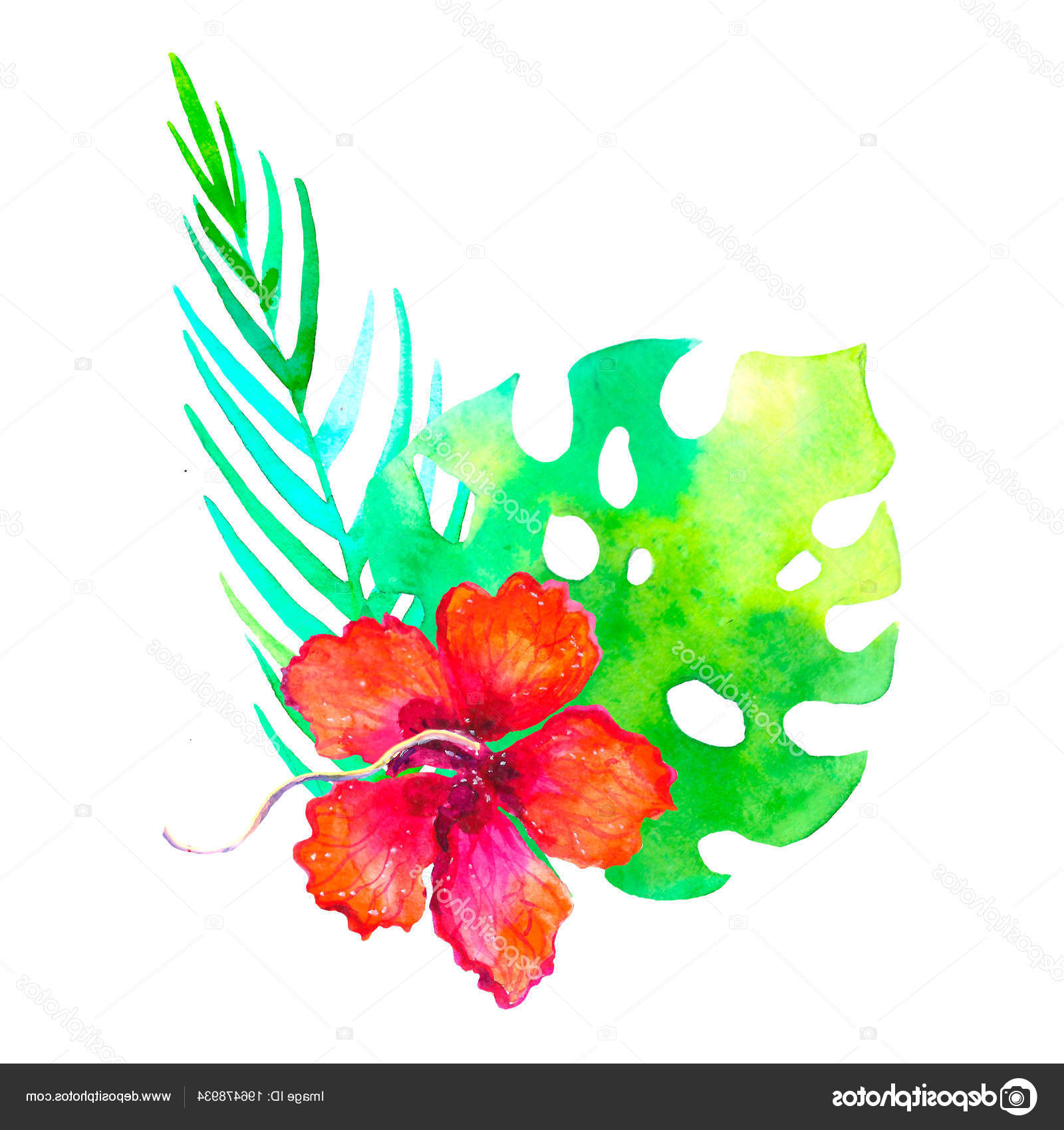 stock photo watercolor tropical bouquet traditional drawing