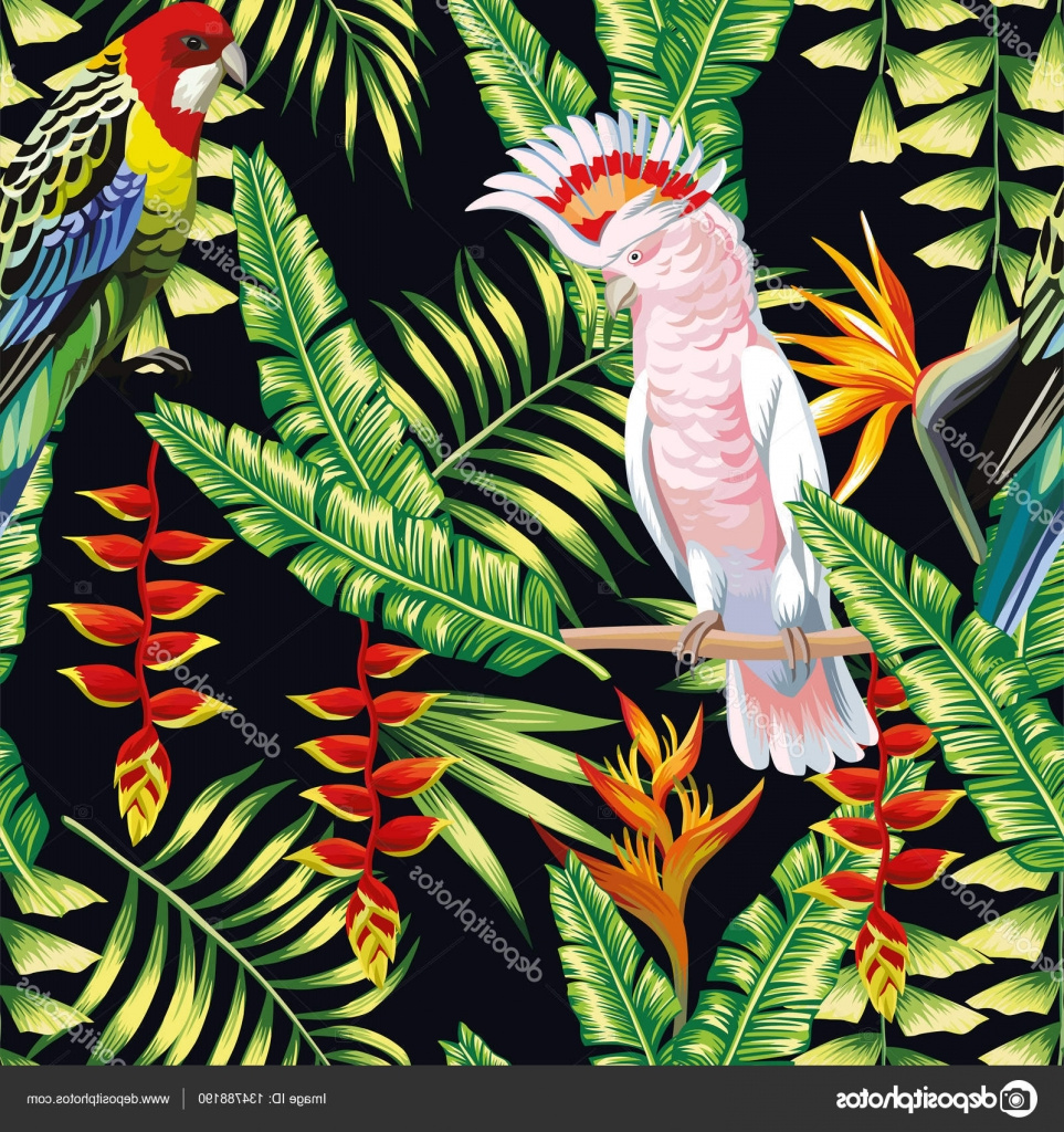 stock illustration tropical parrot liana flowers leaves