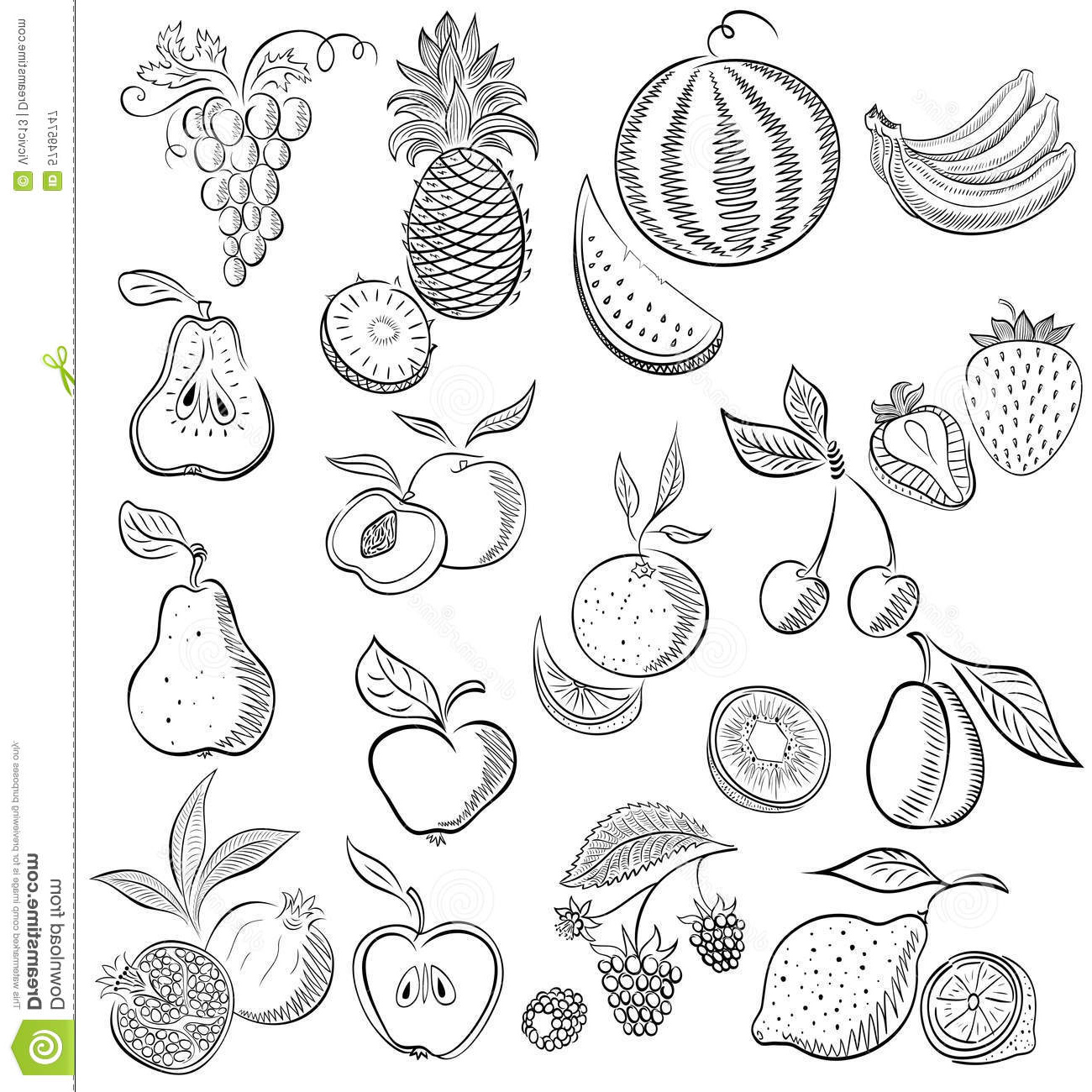 illustration stock placez du fruit et des baies croquis de dessin image