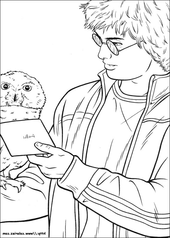 coloriage d hedwig