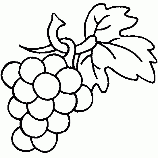 coloriage gratuit raisin vendange automne