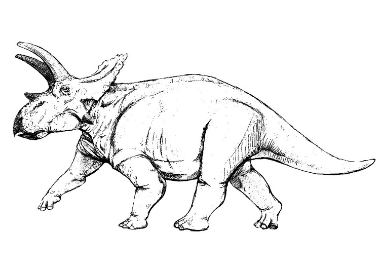 coloriage triceratops i9148