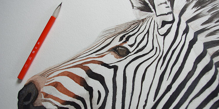 cours peinture gratuit peindre un zebre aquarelle couleur