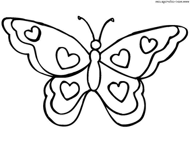 dessin magique papillon a imprimer gratuit