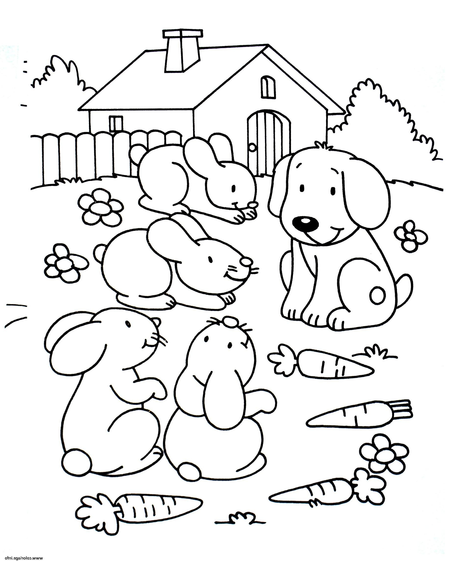 lapins en pagnie du chien coloriage dessin