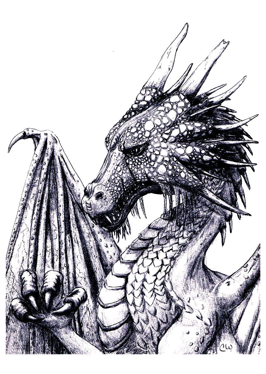 image=mythes et legendes coloriage adulte dragon 1