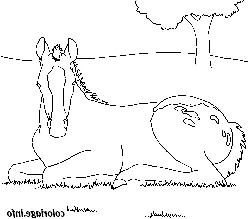 cheval assis dans l herbe coloriage