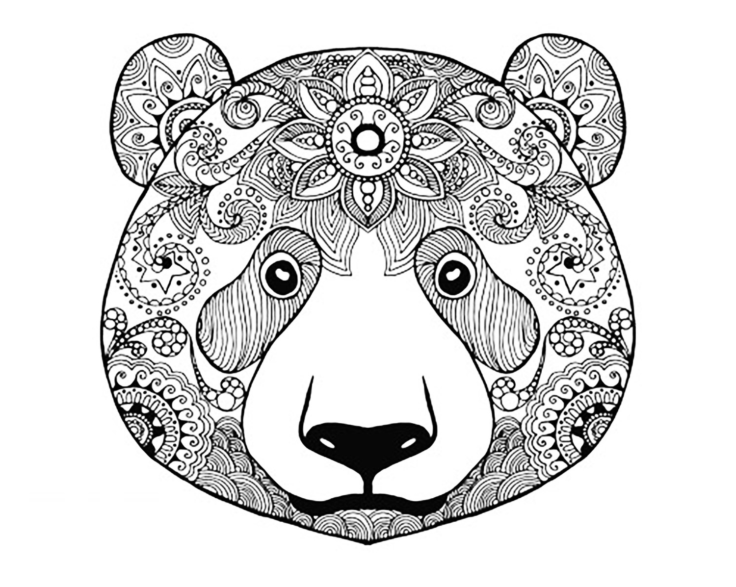 image=ours coloriage adulte ours 2 1