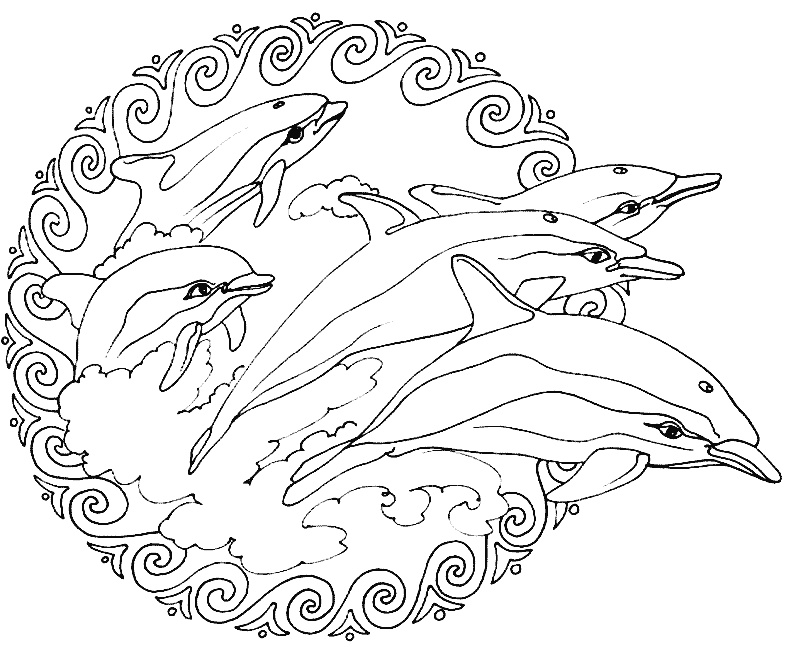 image=animals mandala a colorier animaux gratuits dauphins 2