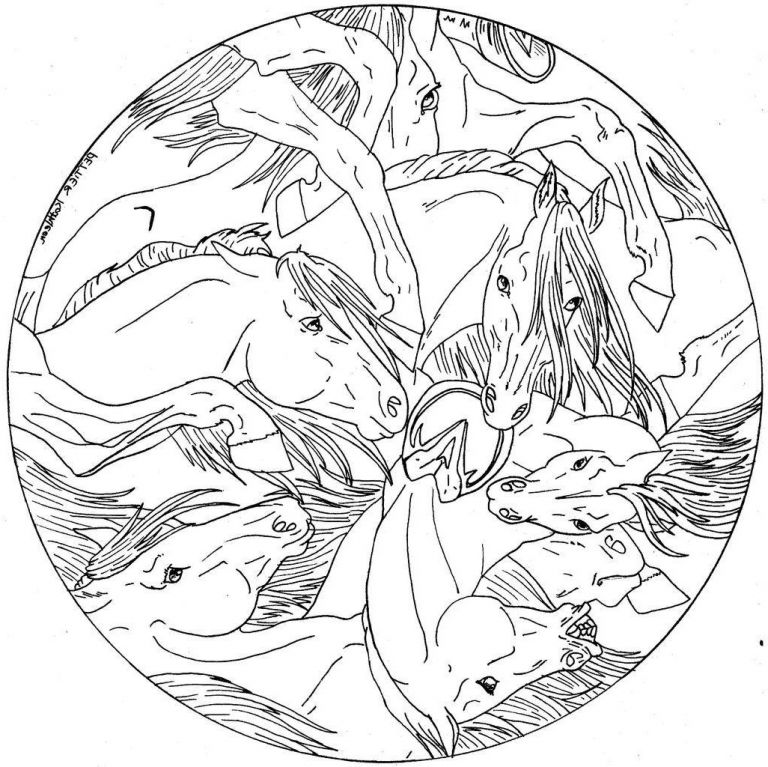 Mandala Cheval Unique Image Mandala Fanbook