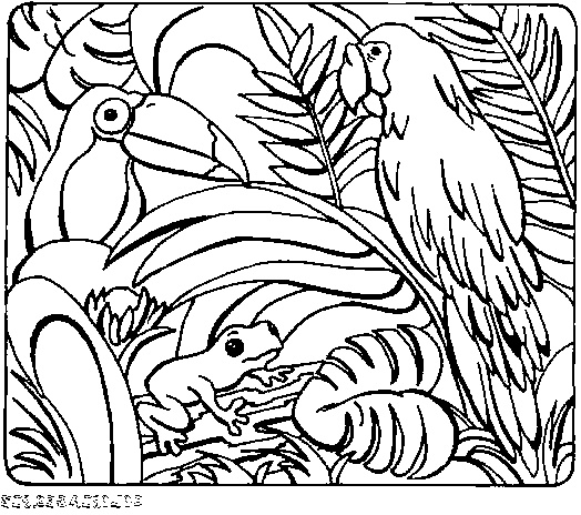 imprimer coloriage 1880 perroquets