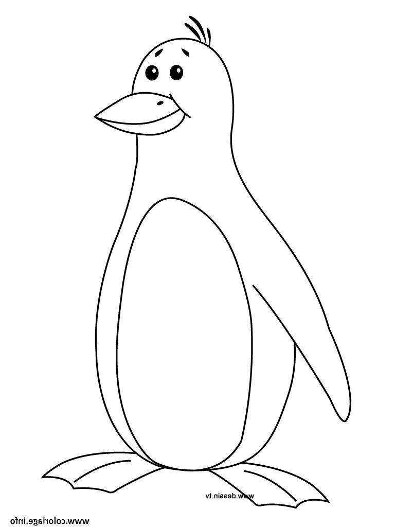 pingouin facile pour enfant coloriage dessin