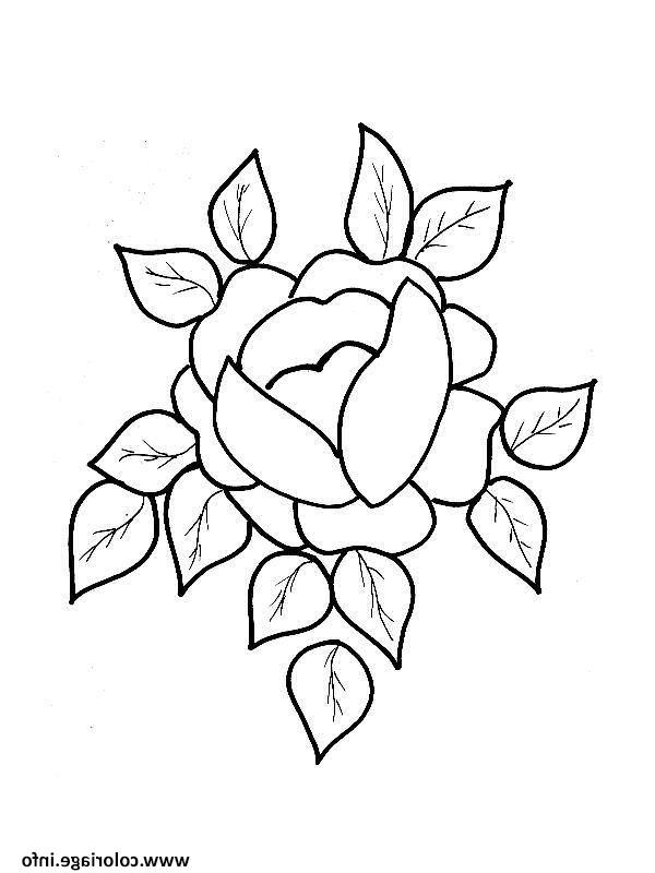 roses 125 coloriage