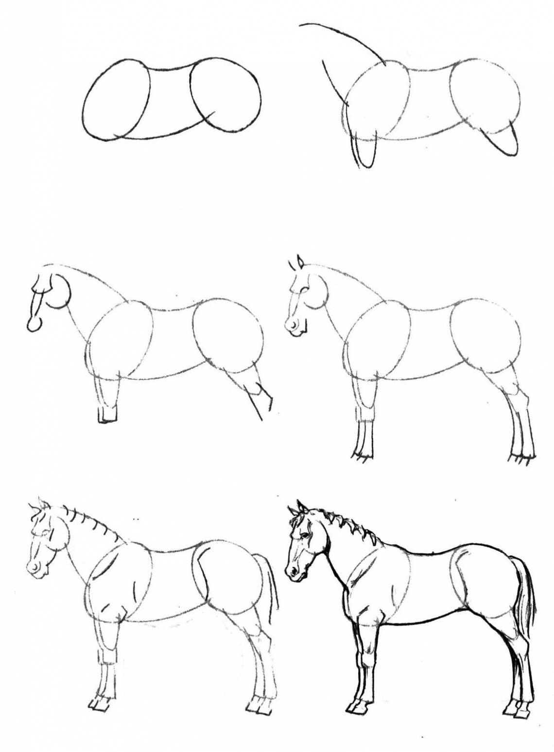 ment dessiner un cheval