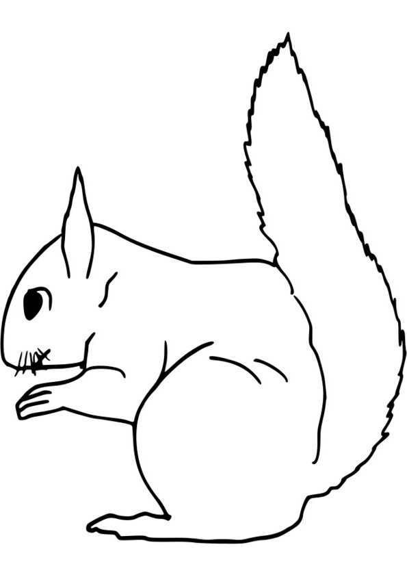 coloriage a animaux