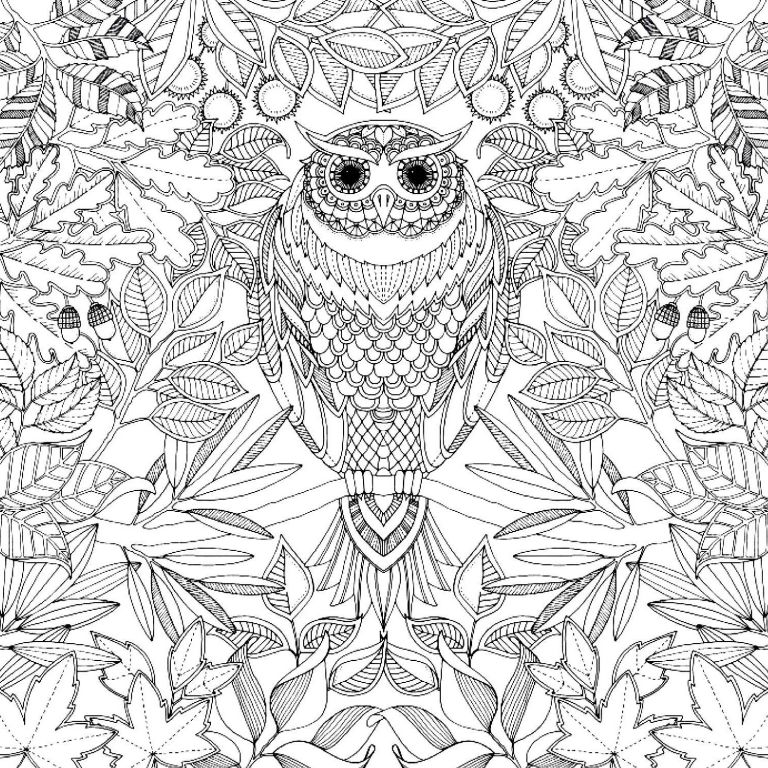 Adulte Dessin Impressionnant Photographie Pour 3 Coloriage Adulte Coloriages Pour Enfants
