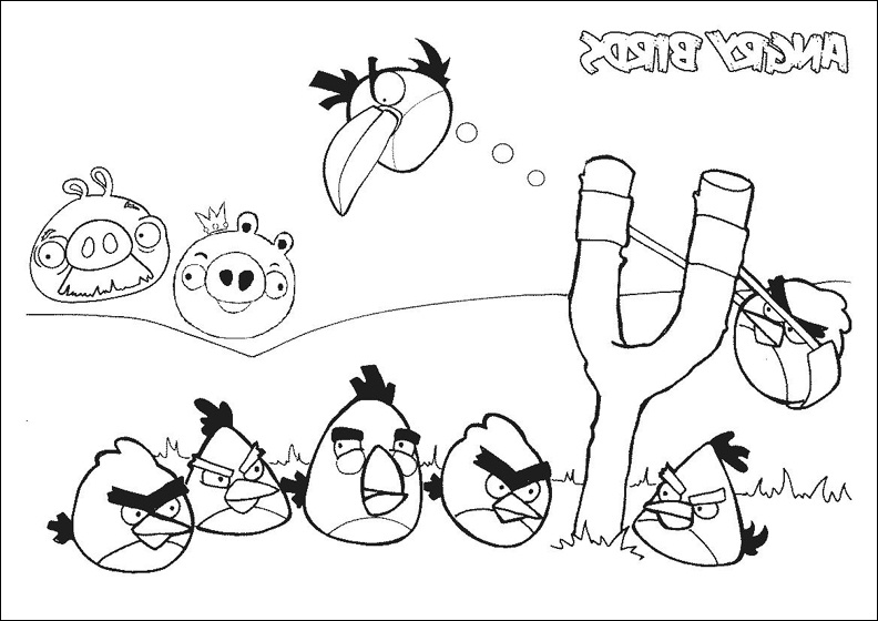 coloriage angry birds