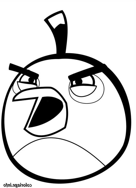 angry birds oiseau inquiet coloriage 2398