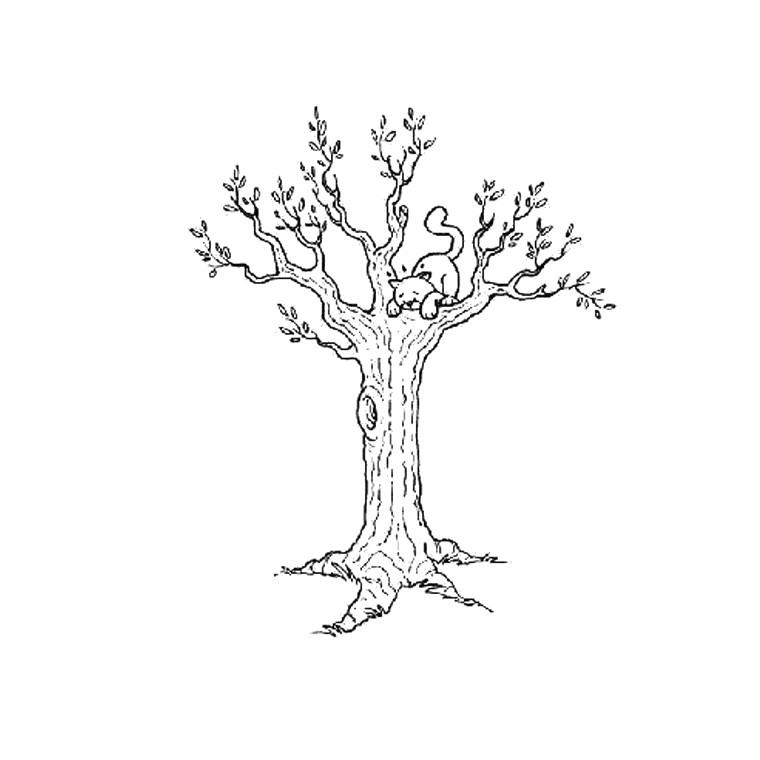 dessin de arbre