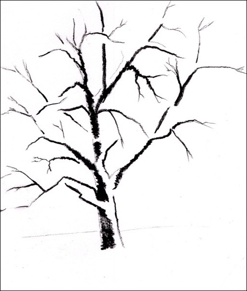 ment dessiner un arbre sous la neige